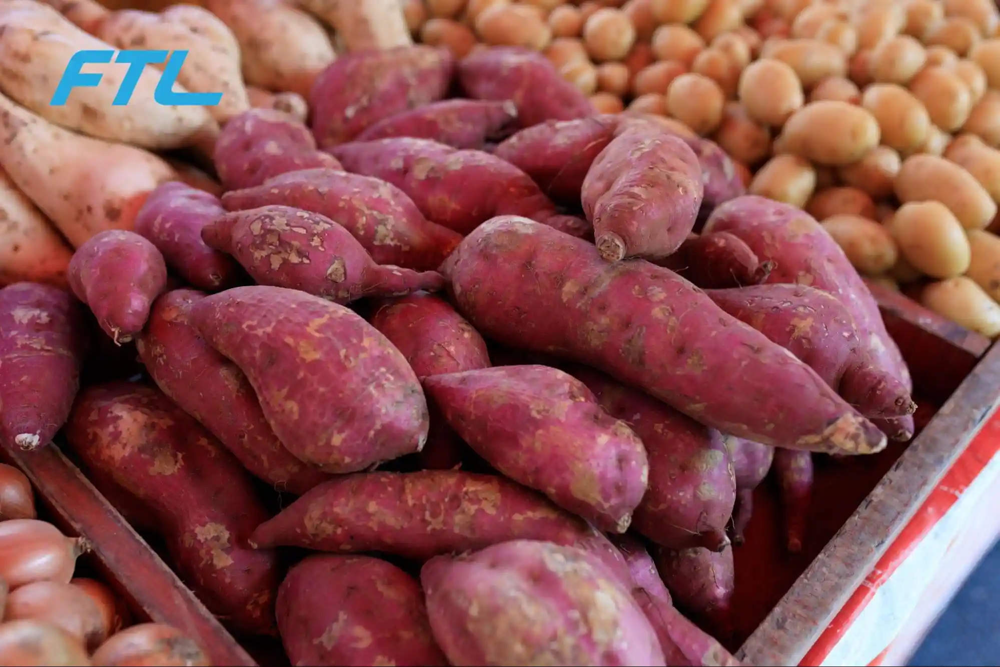 Makanan kaya serat